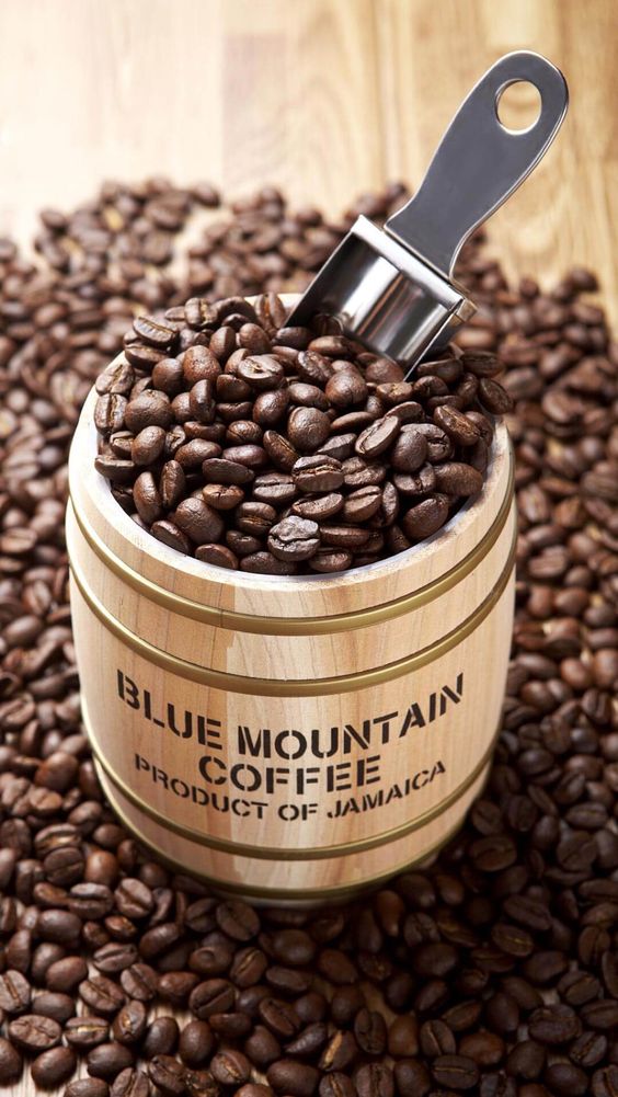 Jamaican Blue Mountain Coffee